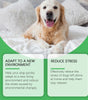 Dog lying on a soft surface with text about adapting to new environments and reducing stress.