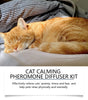 Cat sleeping on a bed with a text overlay about a cat calmingpheromone diffuser kit.