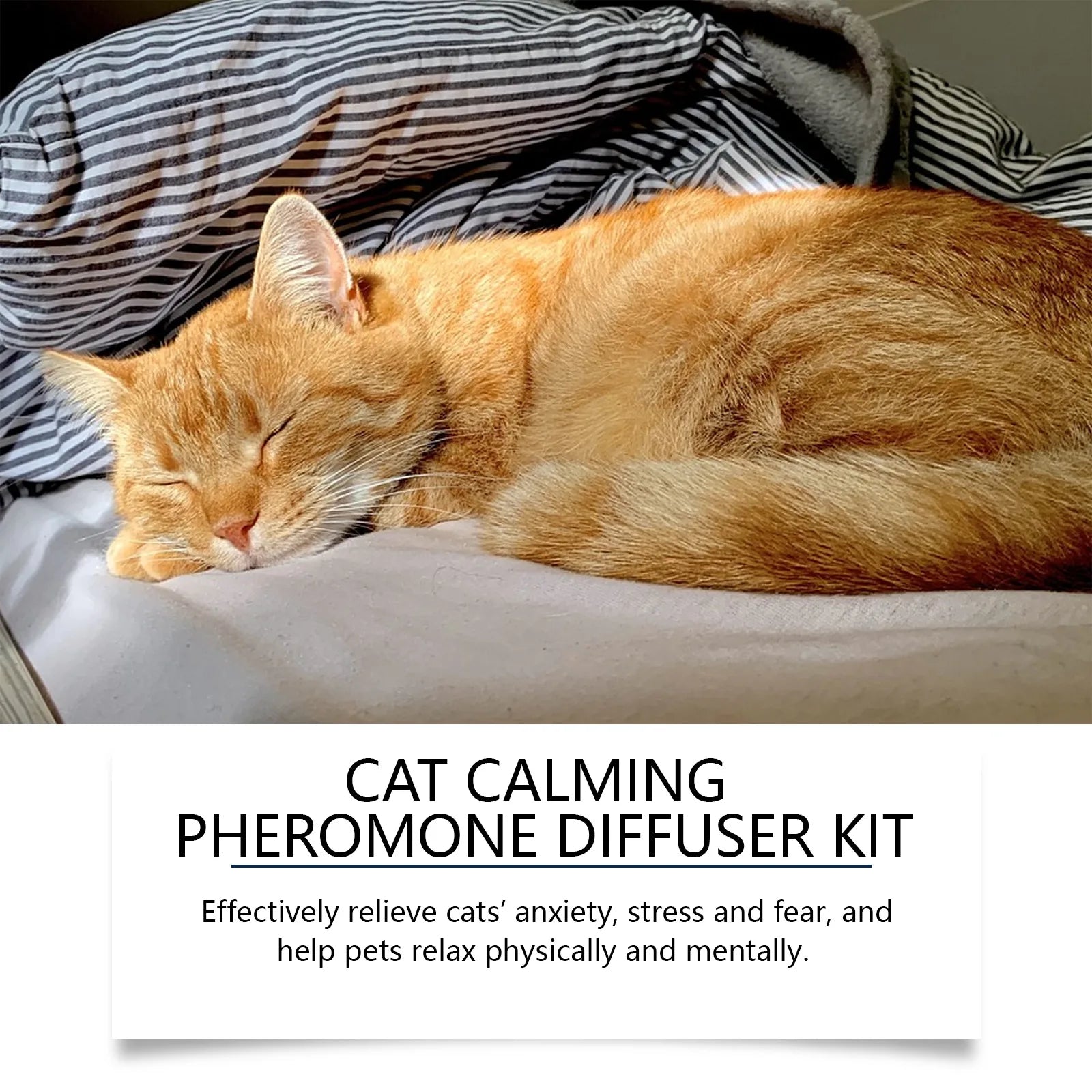 Cat sleeping on a bed with a text overlay about a cat calmingpheromone diffuser kit.