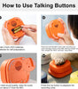 Instructions on how to use a talking button device with text and images.