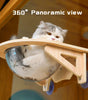 Cat on a wooden shelf with a 360-degree panoramic view feature