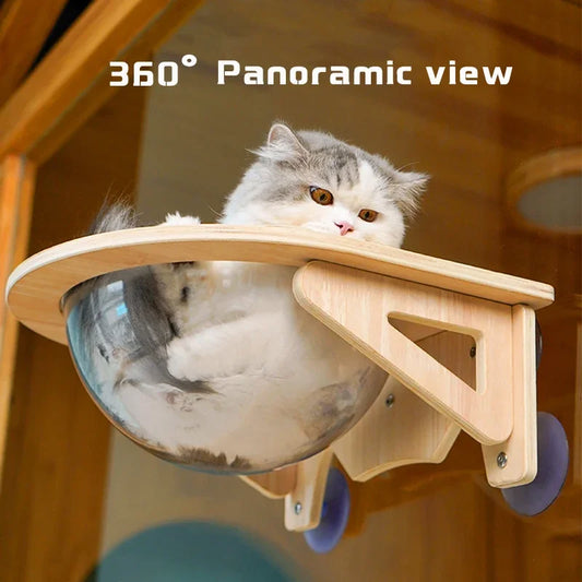 Cat on a wooden shelf with a 360-degree panoramic view feature