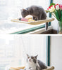 Cat lounging on a window perch with a view of flowers outside