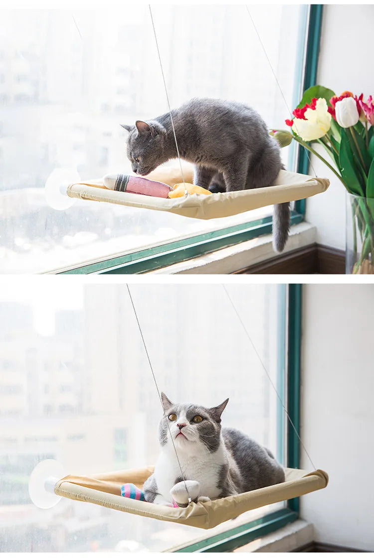 Cat lounging on a window perch with a view of flowers outside