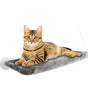 Cat lying on a gray cat hammock with a white background