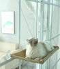 Cat sitting on a beige hammock attached to a glass wall.