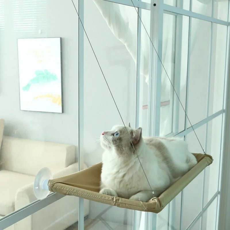 Cat sitting on a beige hammock attached to a glass wall.