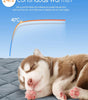 Puppy sleeping on a heating pad with text about 24-hour warmth and temperature indication.
