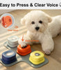 White dog interacting with a set of dog talking buttons on a wooden floor.
