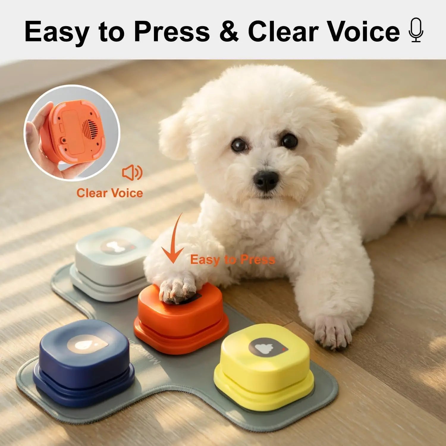 White dog interacting with a set of dog talking buttons on a wooden floor.