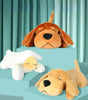 Two plush dogs and a sheep on a teal platform with a teal curtain background