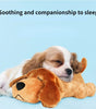 Puppy lying next to a plushcalming  dog toy on a blue background with text 'Soothing and companionship to sleep'.