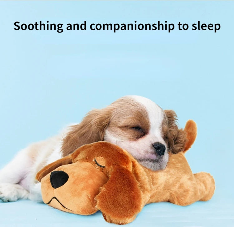 Puppy lying next to a plushcalming  dog toy on a blue background with text 'Soothing and companionship to sleep'.
