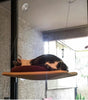 Two images of cats using window perches. Top image shows a cat on a wooden perch, bottom image shows two cats on a hanging cushion.