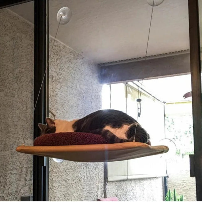 Two images of cats using window perches. Top image shows a cat on a wooden perch, bottom image shows two cats on a hanging cushion.