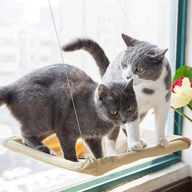 Two cats on a window perch with a blurred indoor background