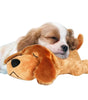 Puppy lying next to a plush dog toy on a light blue background