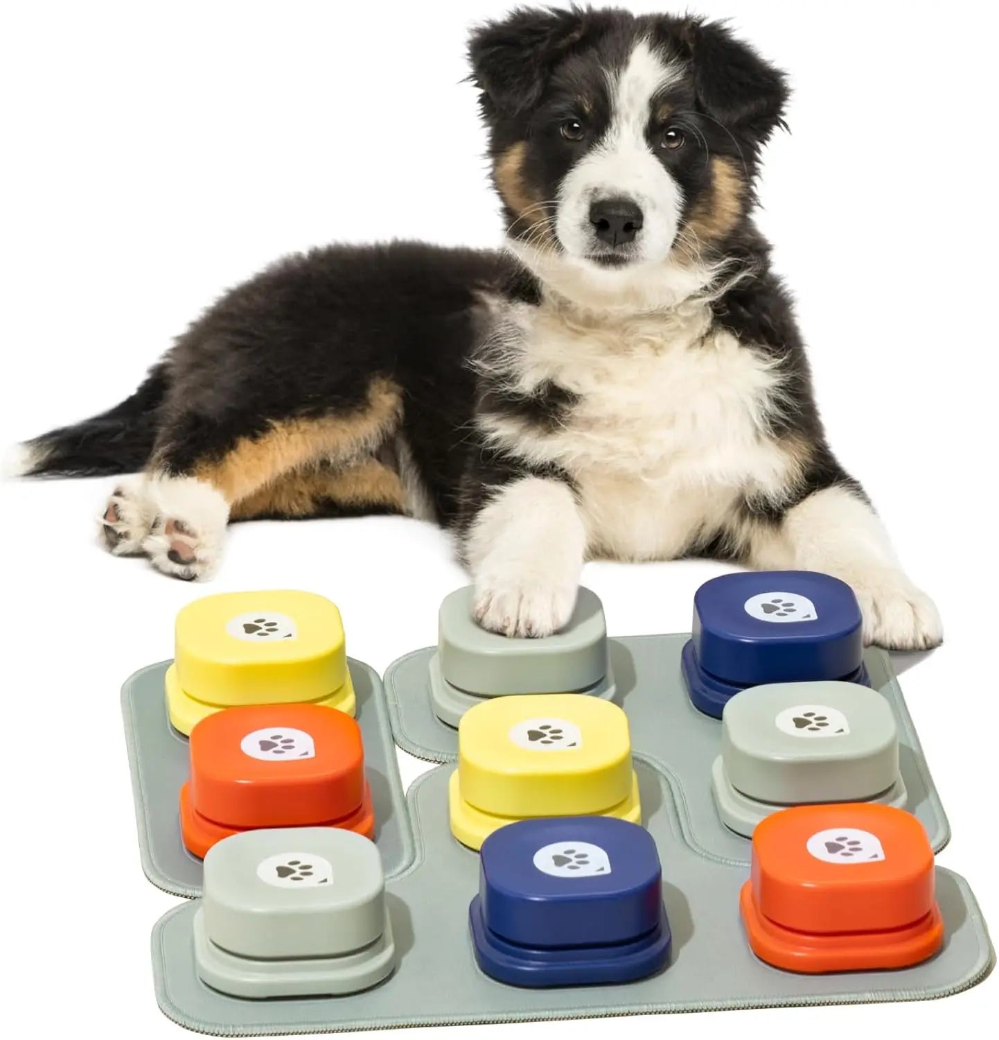 Dog interacting with a colorful paw-prints dog talking toy on a white background