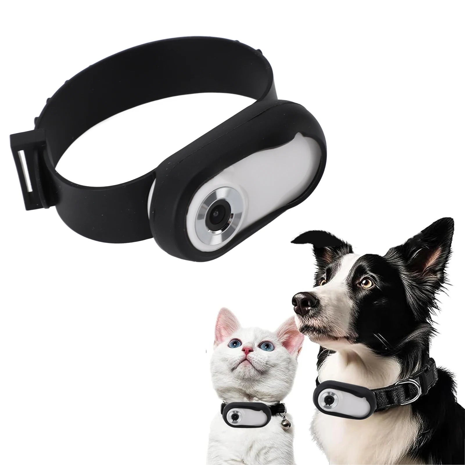 Pet tracking device on a white background with a dog and cat wearing collars.
