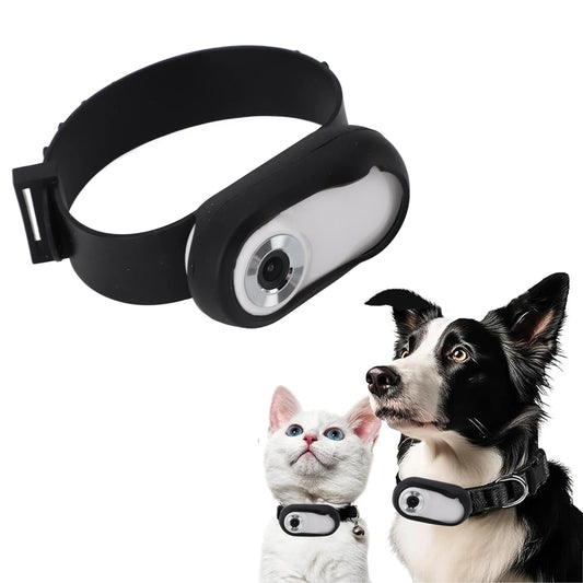 Pet tracking device on a white background with a dog and cat wearing collars.