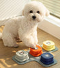 White dog interacting with colorful pet dog talking toys on a wooden floor.