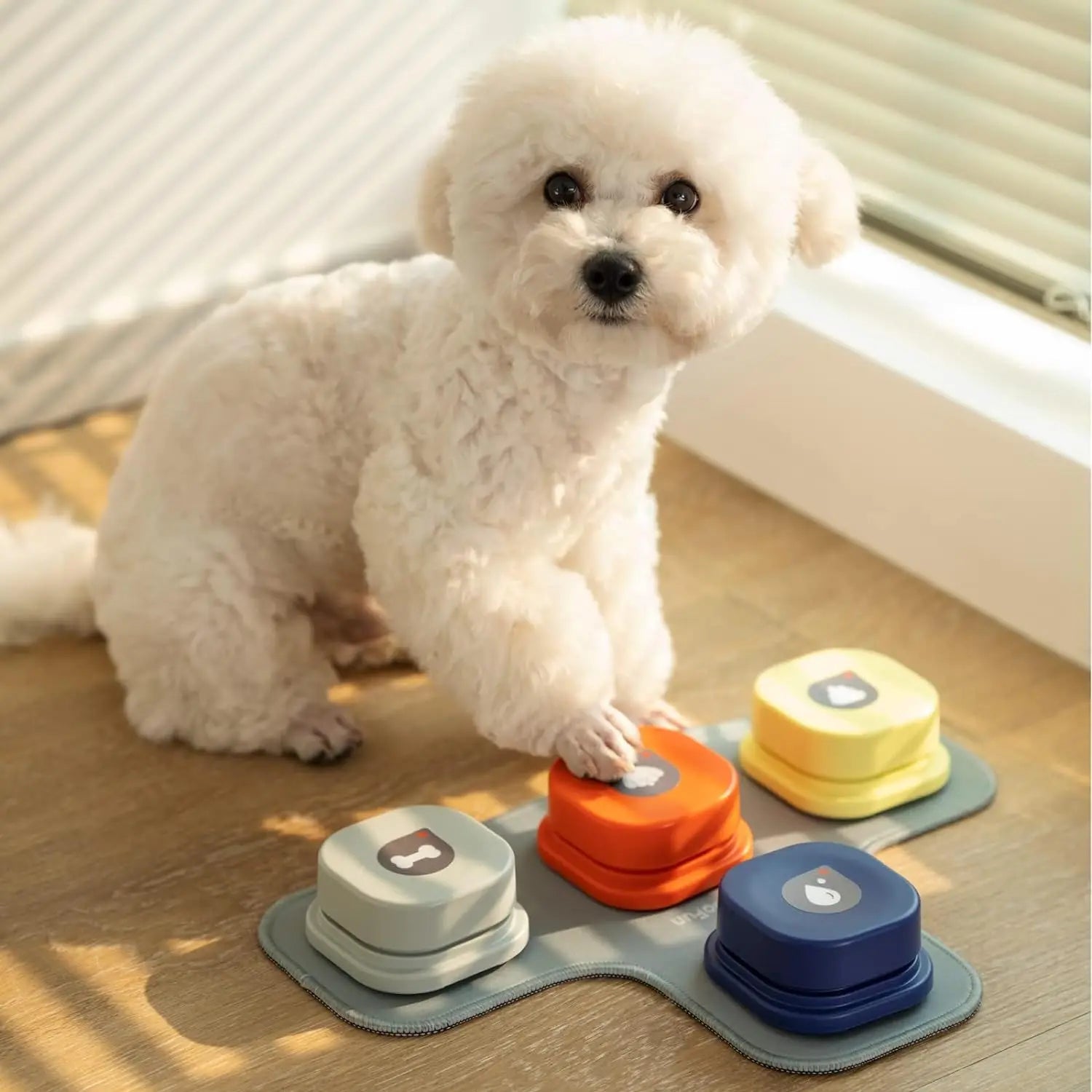 White dog interacting with colorful pet dog talking toys on a wooden floor.