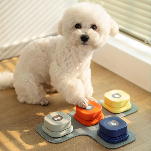 White dog interacting with colorful pet dog talking toys on a wooden floor.