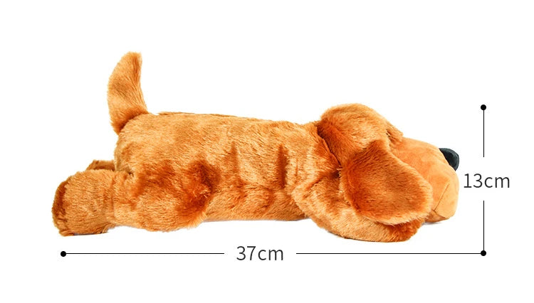Plush dog toy with measurements on a white background