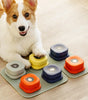 Dog interacting with colorful dog talking buttons on a mat