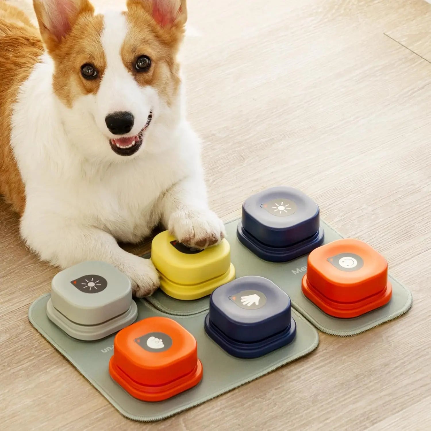 Dog interacting with colorful dog talking buttons on a mat