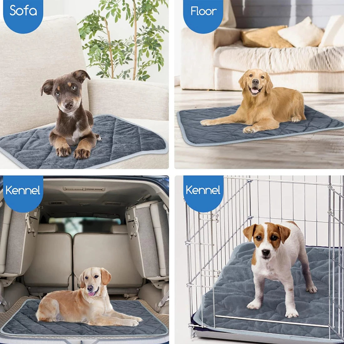 Dog using a pet mat in various locations including a sofa, floor, car, and kennel.