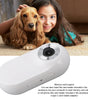 White electronic device with card reader on a blurred background of a girl and dog.