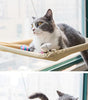 Cat lounging on a hammock by a window